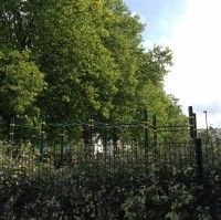 Франция и КЕНГУРУ.ПРО – снова вместе, снова рядом